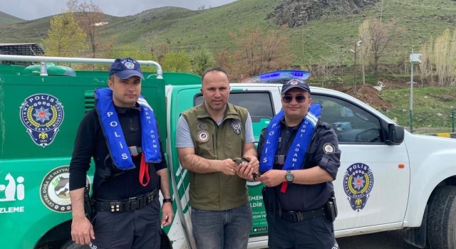 Deniz polisi Van Gölünde poşete dolanan yaralı ebabil kuşunu kurtardı