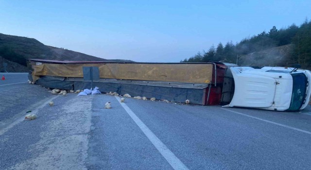 Devrilen tırda yüzlerce tavuk telef oldu