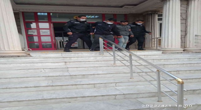 Didimde iki hırsız tutuklandı