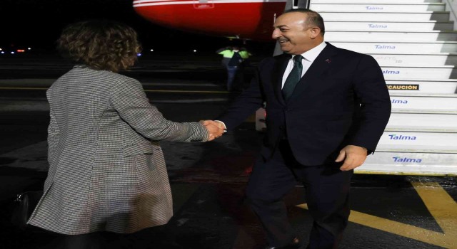 Dışişleri Bakanı Çavuşoğlu, Ekvadorda