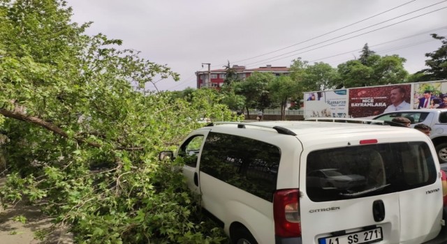 Diyarbakırda seyir halindeki ticari aracın üstüne ağaç devrildi