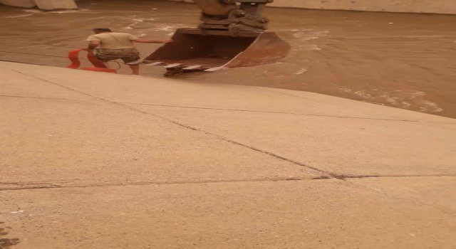 Diyarbakırda su kanalına düşen ineği jandarma personeli kurtardı