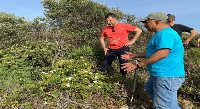 Doğal Botanik Parkı için harekete geçildi