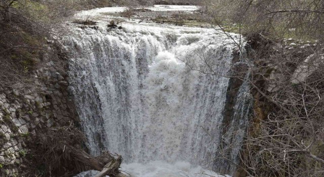 Doğangir şelalesi piknik ve mesire alanı olacak