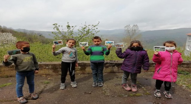 Düzcenin fidanları 80 il de yeşermeye başladı