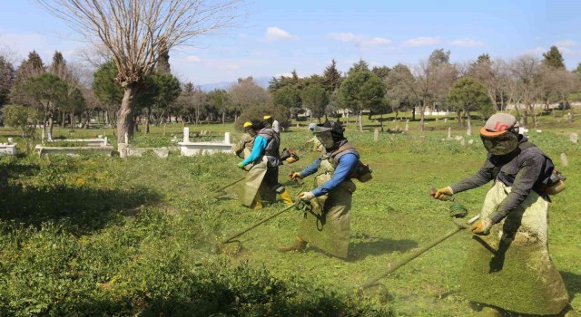 Efelerde mezarlıklar temizleniyor