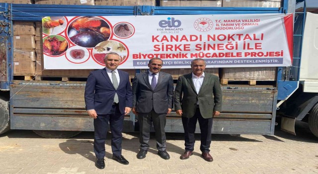 EİB, kirazda sirke sineğine karşı 50 bin tuzak kuracak