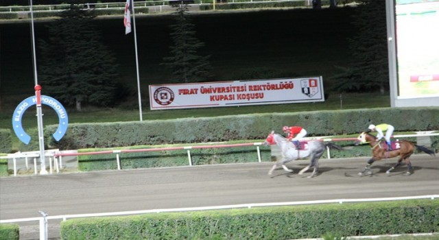 Elazığda at yarışlarına sayılı günler kaldı