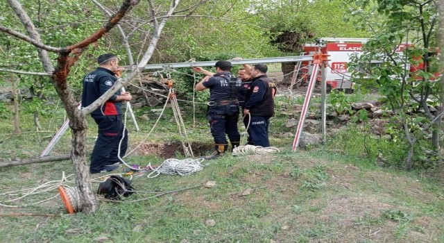 Elazığda kuyuya düşen inek kurtarıldı