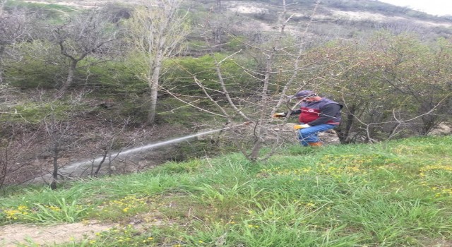 Elazığda larva ile mücadele çalışması