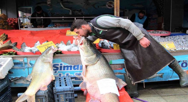 Elazığda sezonun son dev turna balığı yakalandı: Tam 103 kilogram