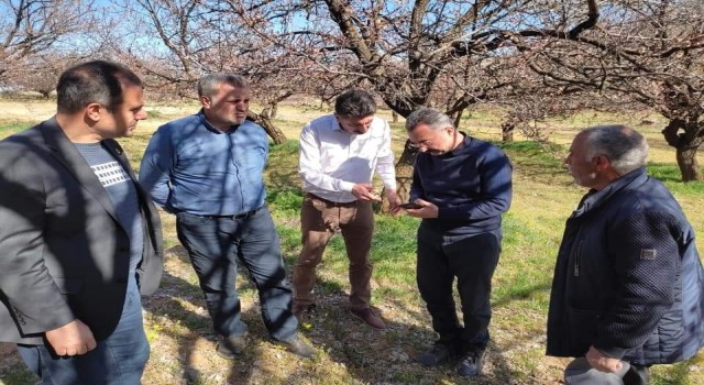 Elazığda zirai don nedeniyle hasar tespit çalışmaları başladı