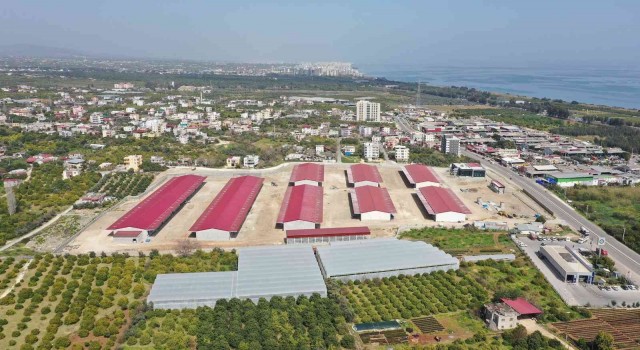 Erdemli Hal Tesisinin yüzde 75i tamamlandı
