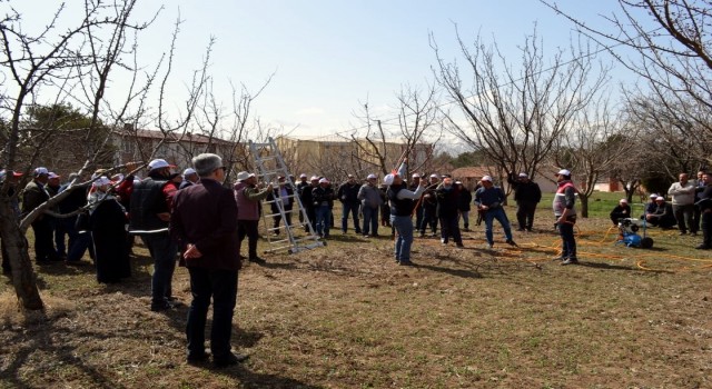 Erzincanda “ Aşılama ve Meyve Ağacı Budama” kursu verildi