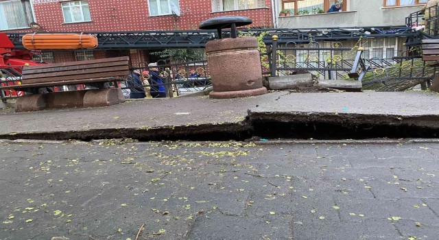 Esenlerde yola devrilen ağaç korku dolu anlar yaşattı