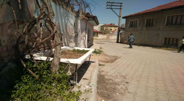 Eskiyen küvetini saksıya dönüştürerek içine sarımsak ekti
