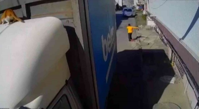 Evden kaçan yaramaz kedi kamerada