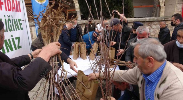Fidan alabilmek için birbiriyle yarıştılar