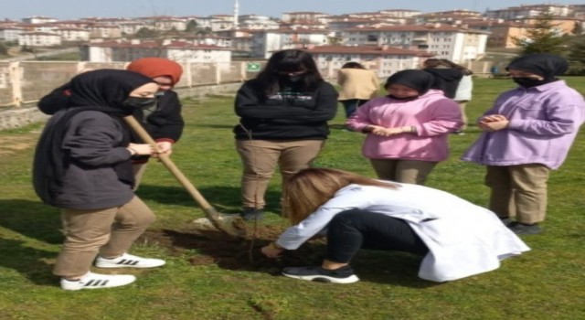 Fidan dikme ve bağış şartıyla uzlaştılar