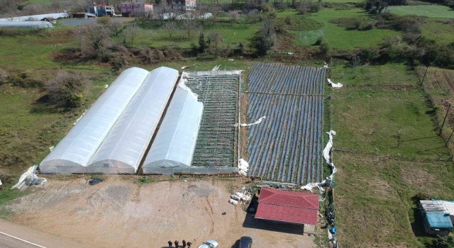 Fırtınada çilek serası, birkaç saniyede 400 bin TL zarara uğradı
