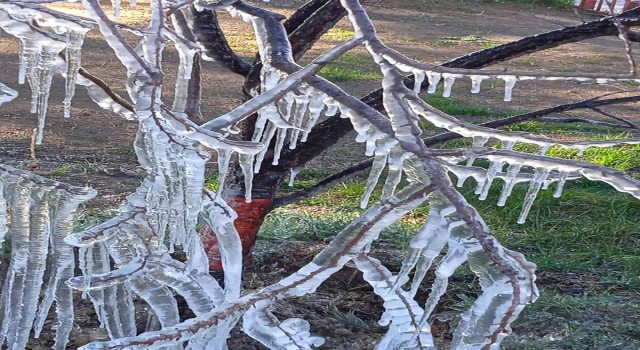 Fıskiyenin açık bırakılmasıyla park buzla kaplandı