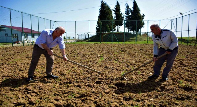 Futbol sahası soğan tarlası oldu