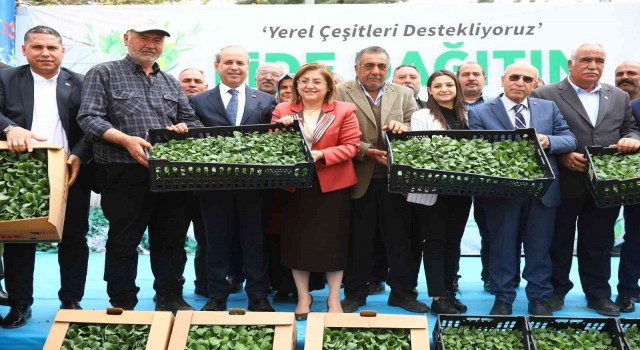 Gaziantepte tarımsal üretime 2 milyon fide desteği