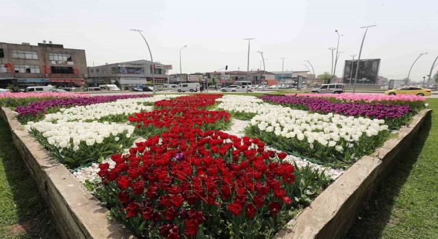 Gebze rengarenk çiçeklerle donatılıyor