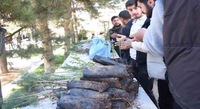 Gençte vatandaşlara fidan dağıtıldı