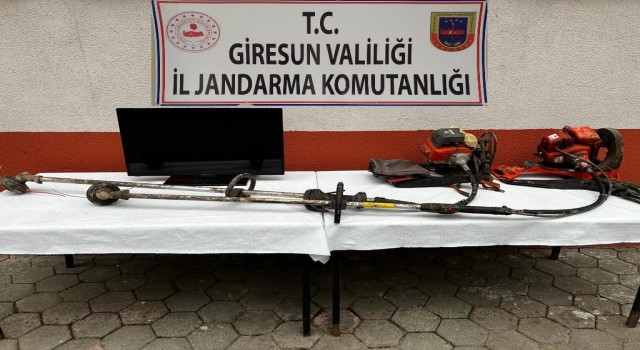 Giresunda hırsızlık vakaları