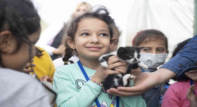 Gönüllüler sokak hayvanlarını besledi