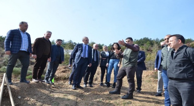 GTSOdan her üye için bir fidan