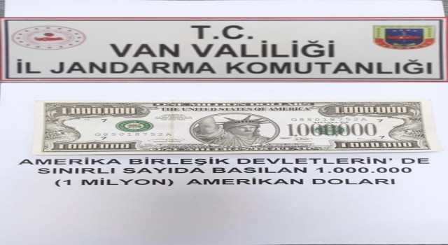 Gürpınarda 1 milyon dolarlık banknot ele geçirildi