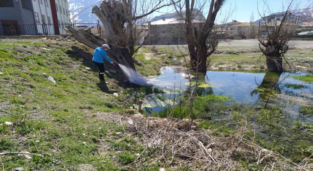 Hakkaride ilaçlama çalışması başlatıldı