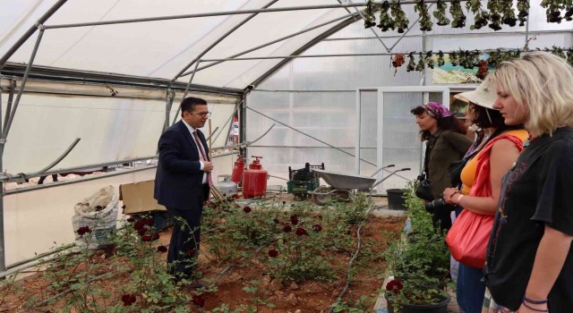 Halfetinin simgesi karagül çiçek açtı