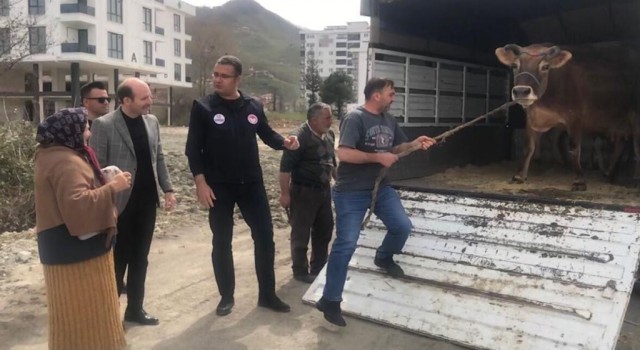 Halk gününde inek istedi, vali kapısına gönderdi