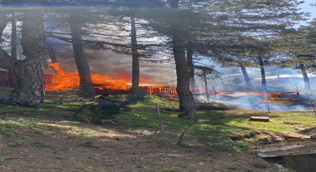 Hatayda Amanoslar Üçkoz Yaylasında çıkan yangında 5 ev yandı