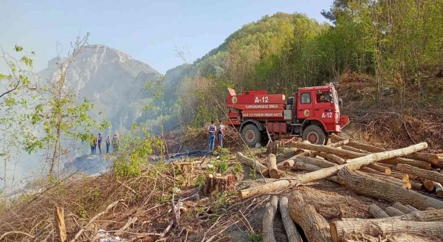 Hatayda çıkan orman yangını söndürüldü