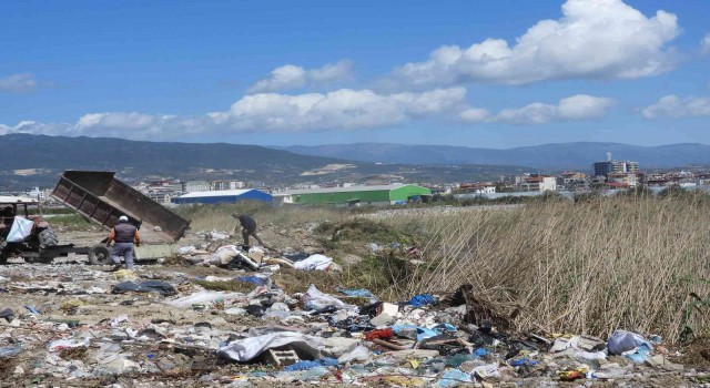 Hatayda kuşların barınma alanlarına çöp ve moloz dökülüyor