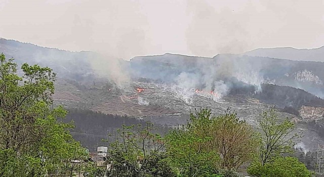 Hatayda orman yangını iki noktada devam ediyor