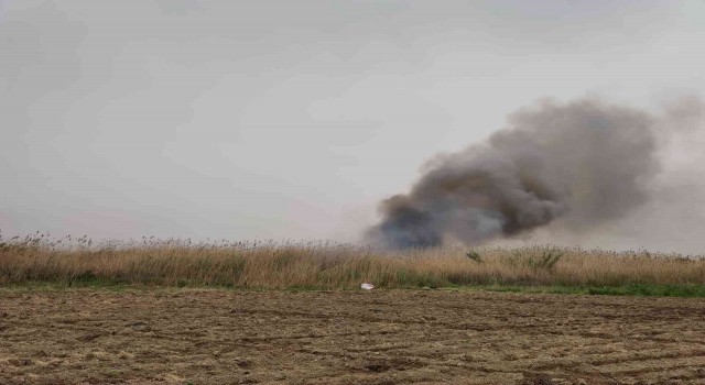 Hatayda sazlık alanda yangın
