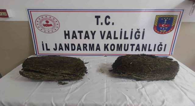 Hatayda uyuşturucu operasyonu