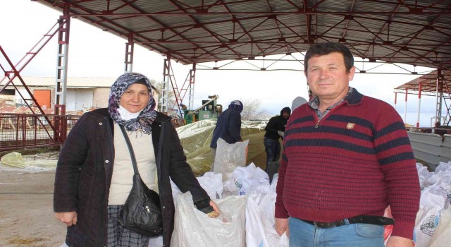 Hayvan üreticisine 1 yılda 1 milyon TLlik nakliye desteği