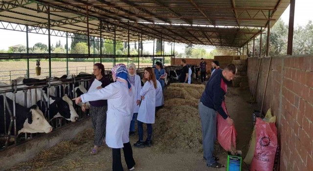 Hayvan varlığının korunmasına DEÜ katkısı