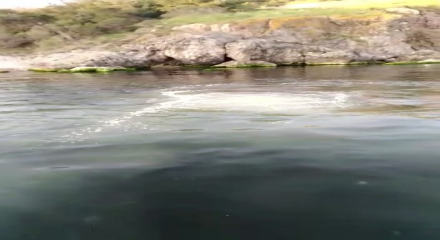Heybeliadada derin deniz deşarj hattı patladı, lağım suyu deniz yüzeyine çıktı