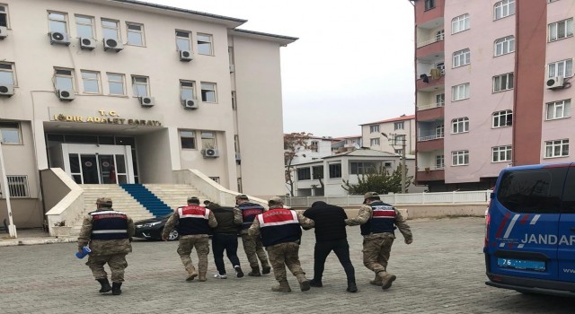 Iğdırda koyun hırsızlığı: 3 şüpheli tutuklandı