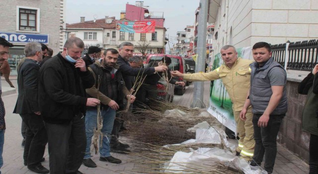 İneboluda vatandaşlara ücretsiz meyve fidanı dağıtıldı