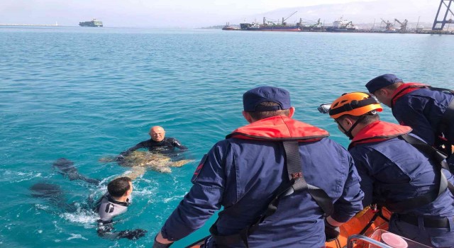 İskenderun Körfezinde bitkin bulunan Caretta Caretta koruma altına alındı