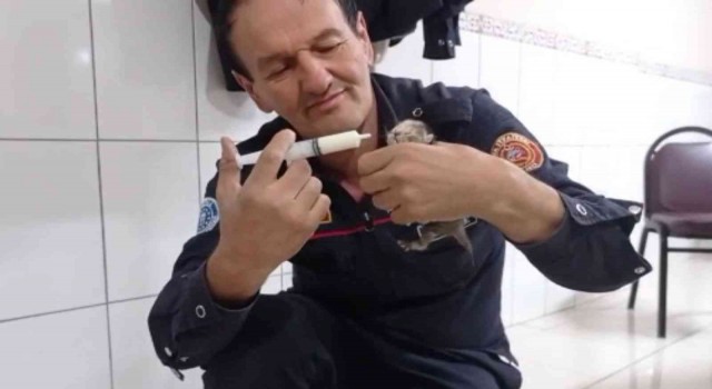 İtfaiye ekipleri kurtardıkları 3 yavru kediyi elleriyle besledi