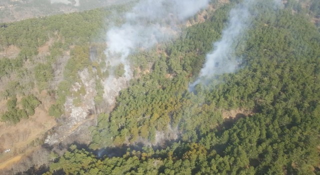 İzmirde ormanlık alandaki yangın kontrol altında